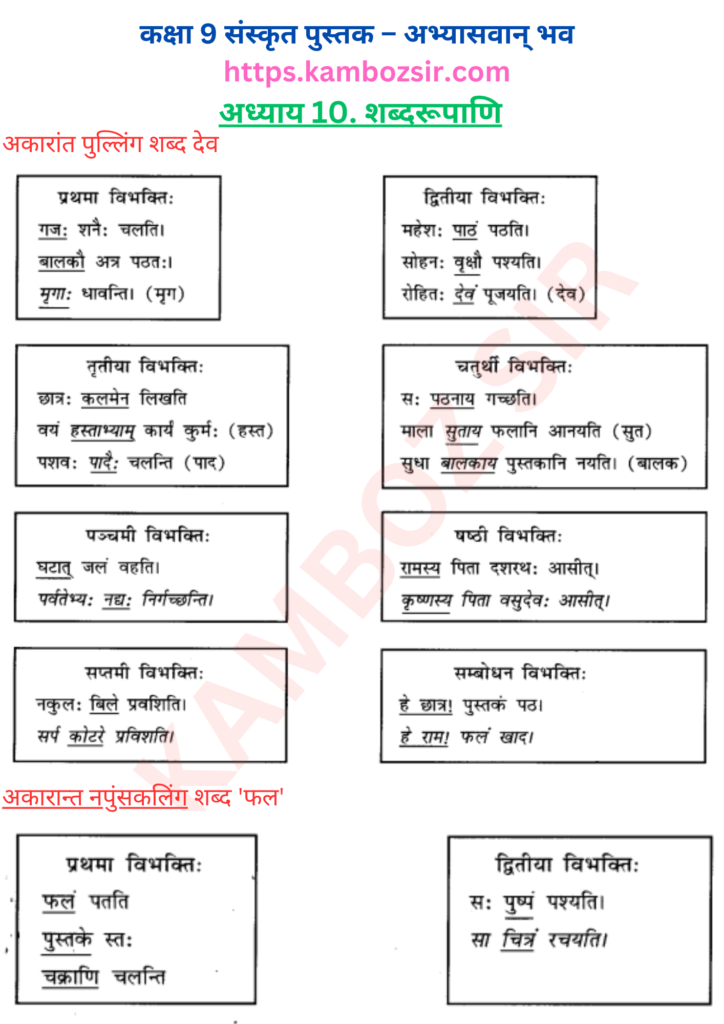 कक्षा 9 संस्कृत अध्याय 10 शब्दरूपाणि का समाधान