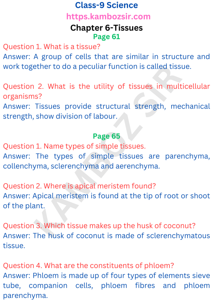 Class 9th Science Chapter 6-Tissues Solution