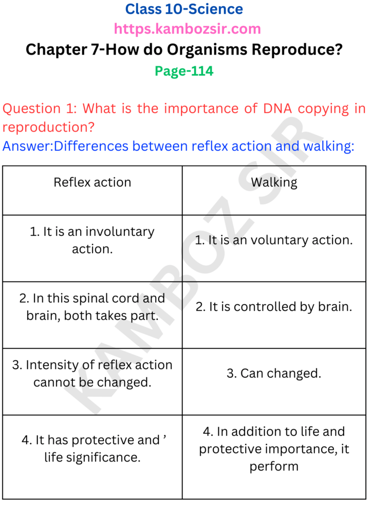 Class 10 Chapter 7-How do Organisms Reproduce Solution