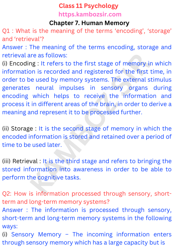 Class 11 Psychology Chapter 7. Human Memory Solution