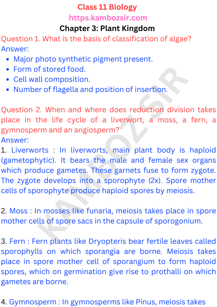 Class 11th Biology Chapter 3 Plant Kingdom Solution
