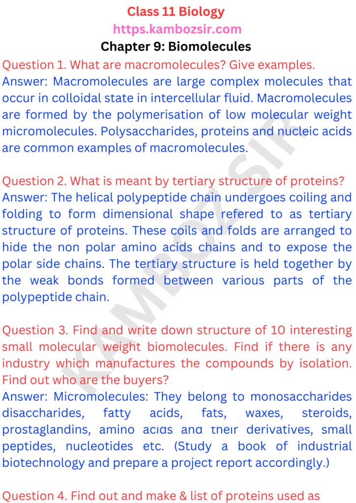 Class 11th Biology Chapter 9 Biomolecules Solution