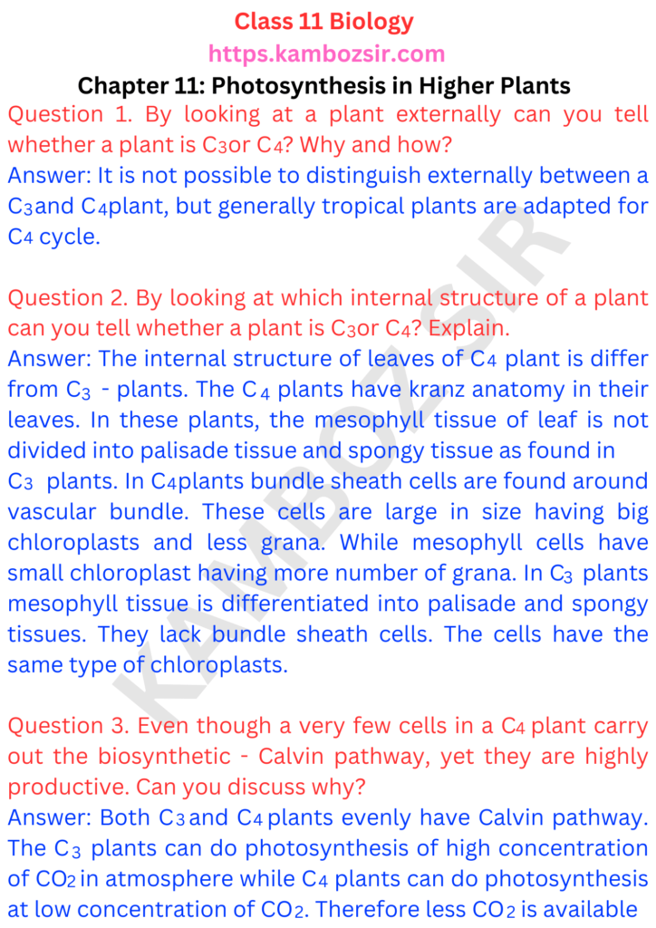 Class 11th Biology Chapter 11 Photosynthesis in Higher Plants Solution