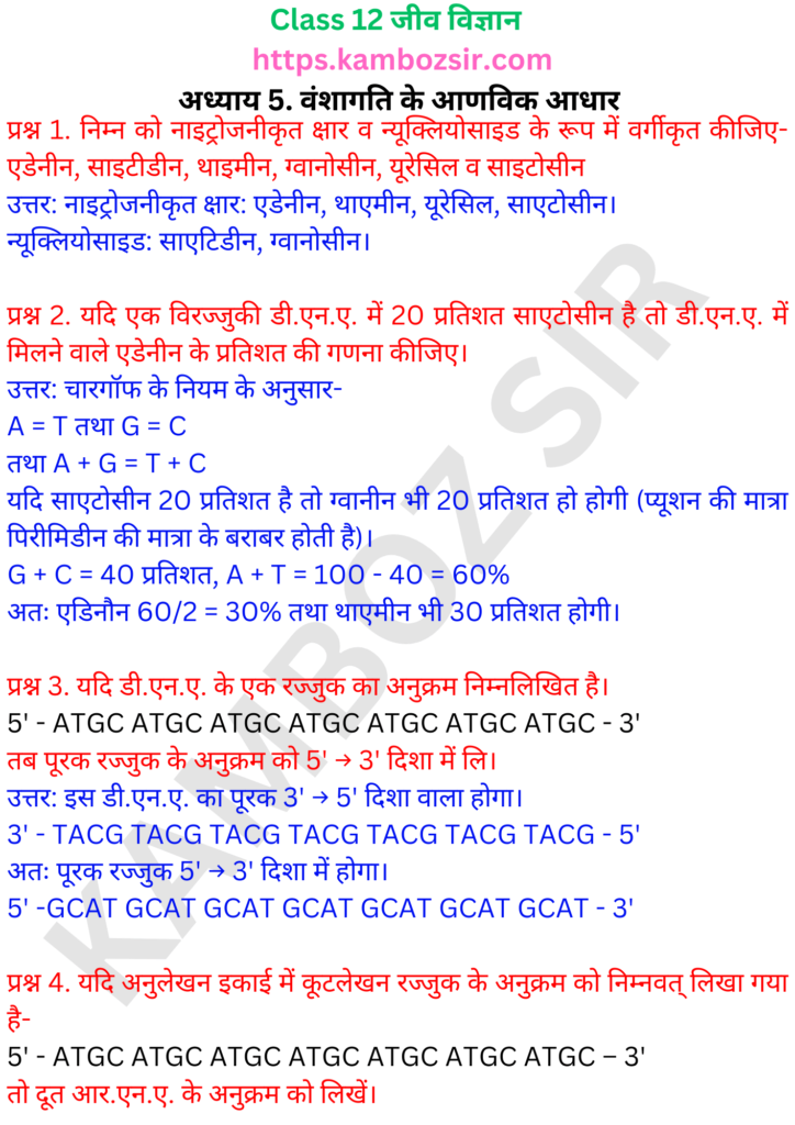 कक्षा 12-जीव विज्ञान अध्याय 5 वंशागति के आणविक आधार समाधान